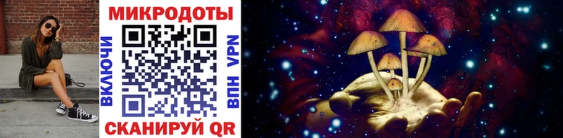 Псилоцибиновые грибы Psilocybe  mega   Лысьва 